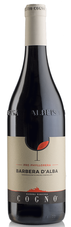 2024 Barbera d`Alba "Pre-Phylloxera"